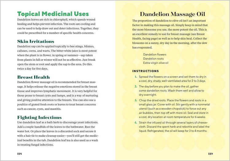 Produktbild: Dandelion Medicine, 2nd Edition