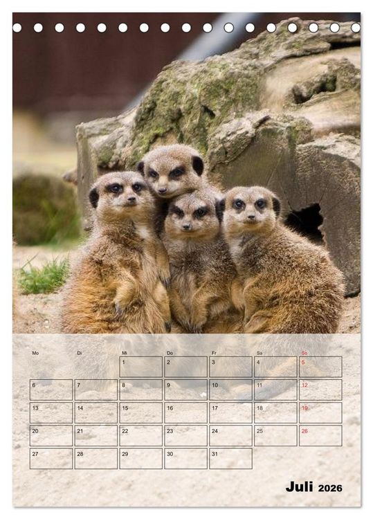 Produktbild: Erdm&auml;nnchen - Afrikas liebenswerte Zwerge (Tischkalender 2026 DIN A5 hoch), CALVENDO Monatskalender