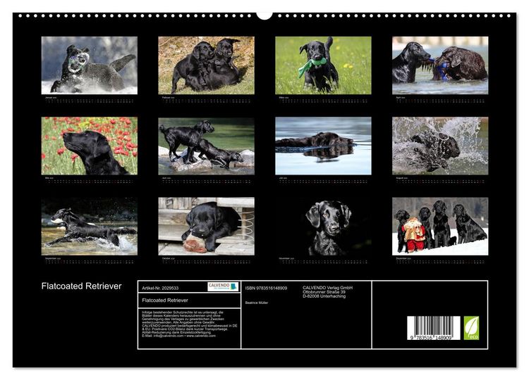Produktbild: Flatcoated Retriever (hochwertiger Premium Wandkalender 2026 DIN A2 quer), Kunstdruck in Hochglanz