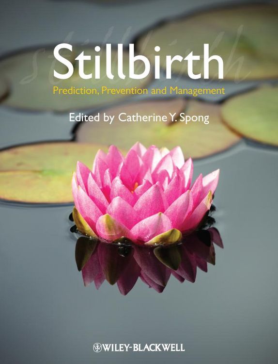Produktbild: Stillbirth