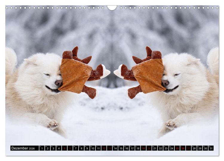 Produktbild: Mit doppelter Power durch das Jahr (Wandkalender 2026 DIN A3 quer), CALVENDO Monatskalender