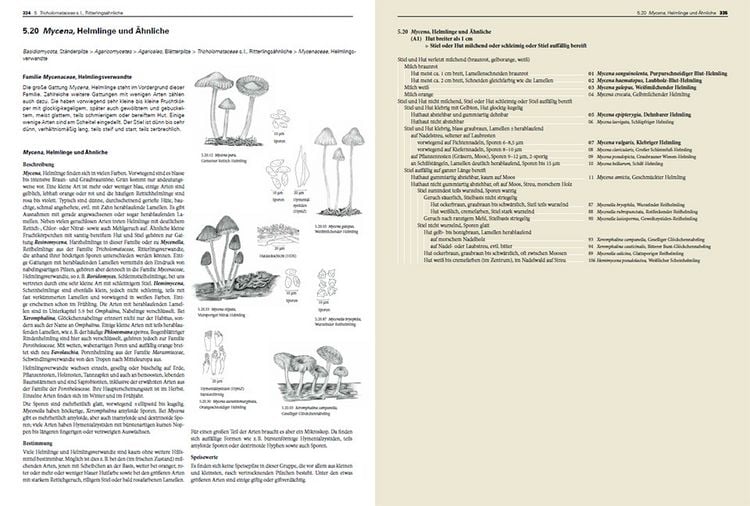 Produktbild: Pilze Mitteleuropas