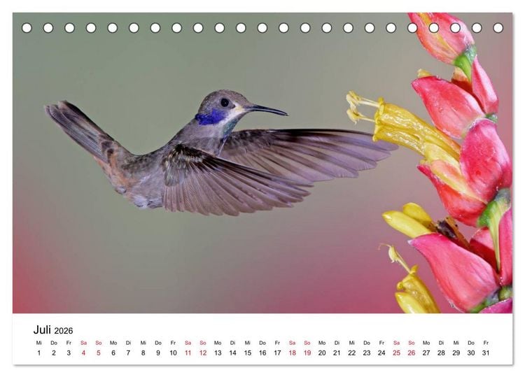 Produktbild: Kolibris - Juwelen der L&uuml;fte (Tischkalender 2026 DIN A5 quer), CALVENDO Monatskalender