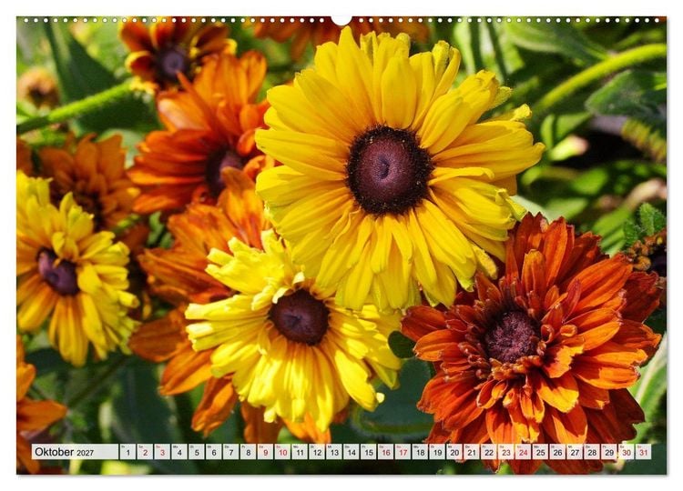 Produktbild: Blumen, bunt gemischt (Wandkalender 2027 DIN A2 quer), CALVENDO Monatskalender