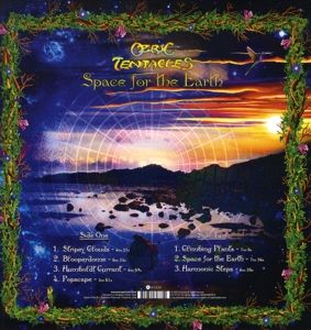 Produktbild: Space For Earth