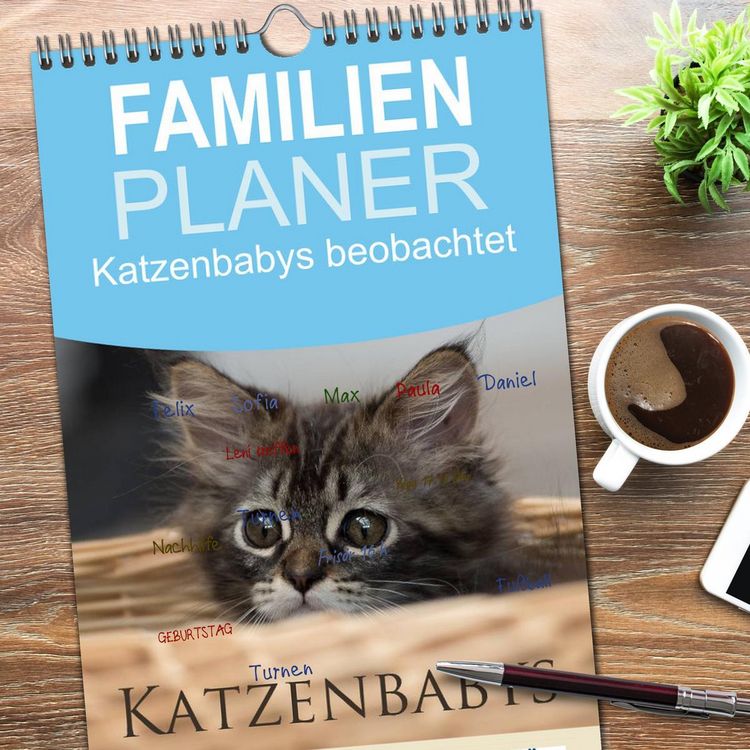 Produktbild: Familienplaner 2026 - Katzenbabys beobachtet mit 5 Spalten (Wandkalender, 21 x 45 cm) CALVENDO