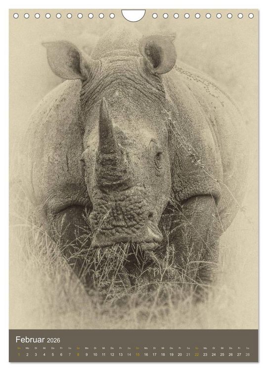 Produktbild: Afrikas Tierwelt - Sepia-Art (Wandkalender 2026 DIN A4 hoch), CALVENDO Monatskalender