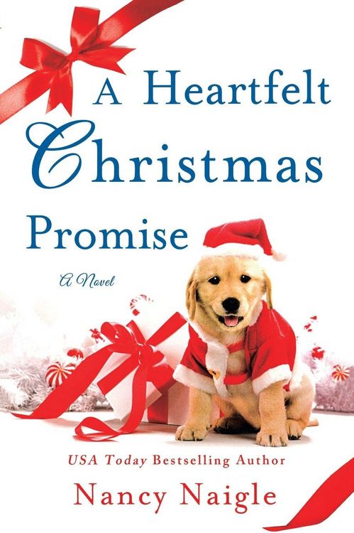Produktbild: Heartfelt Christmas Promise
