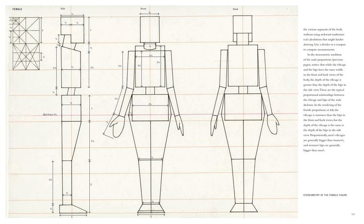 Produktbild: Basic Human Anatomy