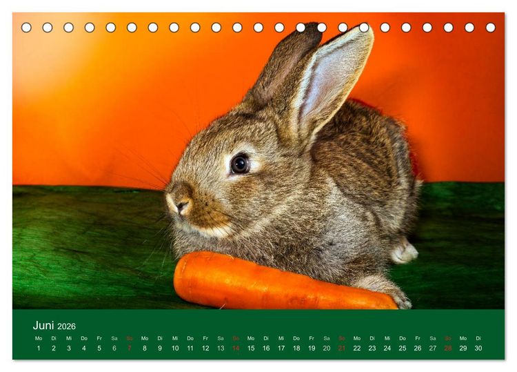 Produktbild: Lustige Kaninchen (Tischkalender 2026 DIN A5 quer), CALVENDO Monatskalender