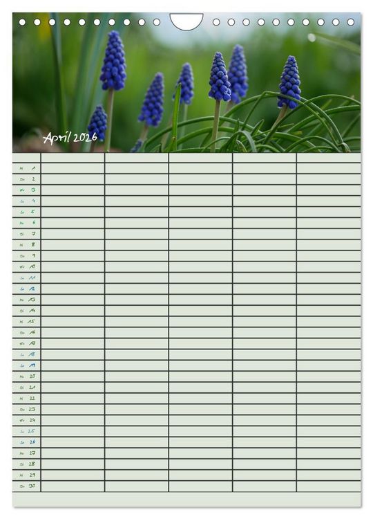 Produktbild: Kleine Natursch&ouml;nheiten (Wandkalender 2026 DIN A4 hoch), CALVENDO Monatskalender