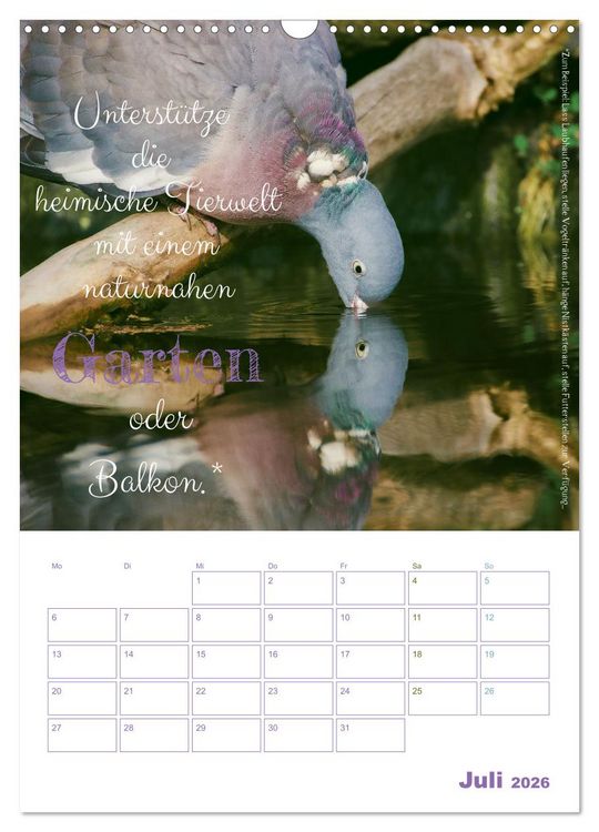 Produktbild: Tierische Challenges: F&uuml;r mehr Bewusstsein und mehr Tierschutz (Wandkalender 2026 DIN A3 hoch), CALVENDO Monatskalender