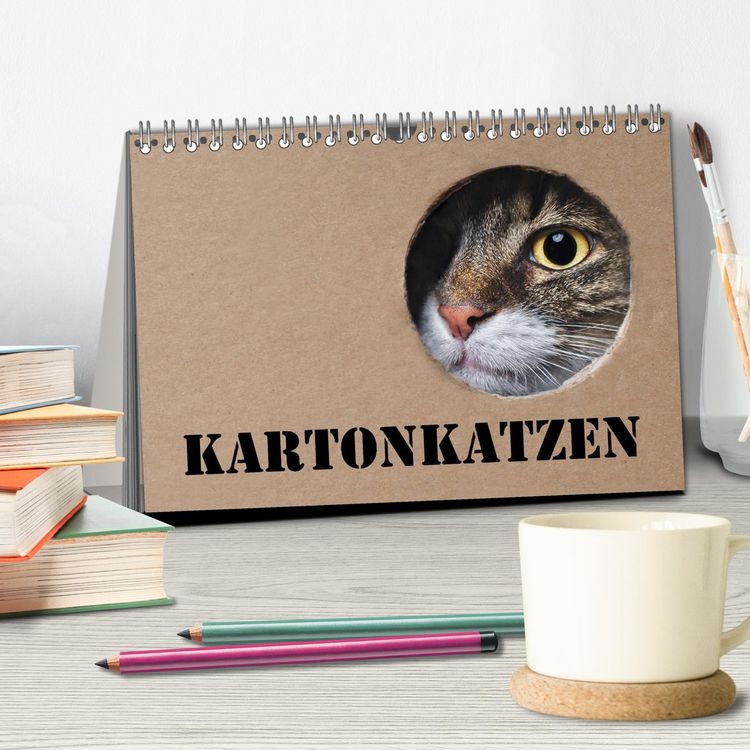 Produktbild: Karton Katzen (Tischkalender 2026 DIN A5 quer), CALVENDO Monatskalender