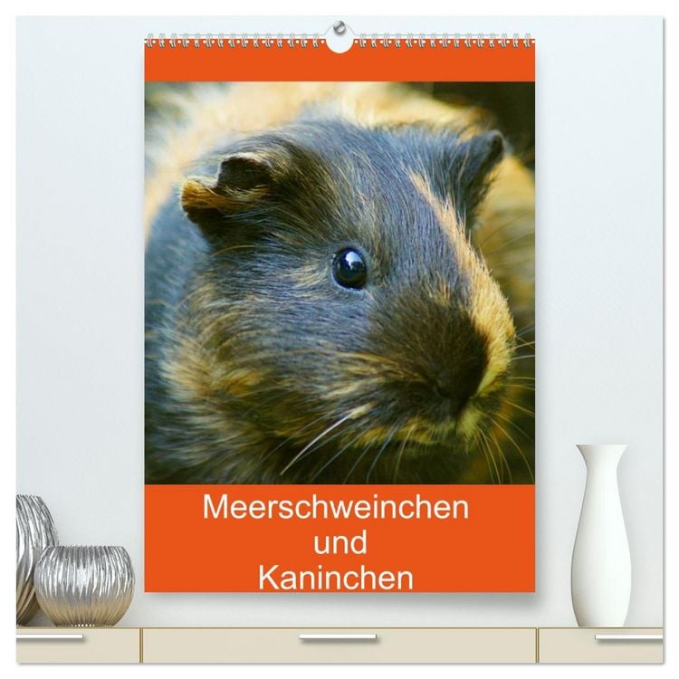 Produktbild: Meerschweinchen und Kaninchen Familienplaner (hochwertiger Premium Wandkalender 2026 DIN A2 hoch), Kunstdruck in Hochglanz