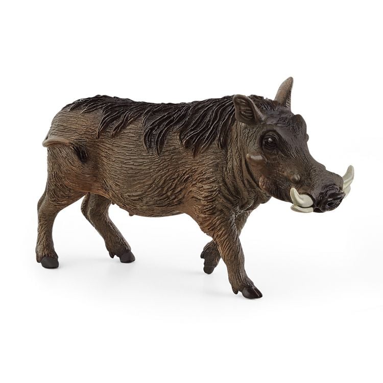 Produktbild: schleich&reg; 14843 Warzenschwein