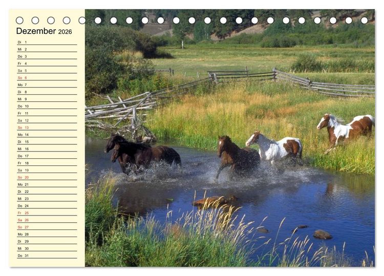 Produktbild: Wilde Pferde. Mustangs in USA (Tischkalender 2026 DIN A5 quer), CALVENDO Monatskalender