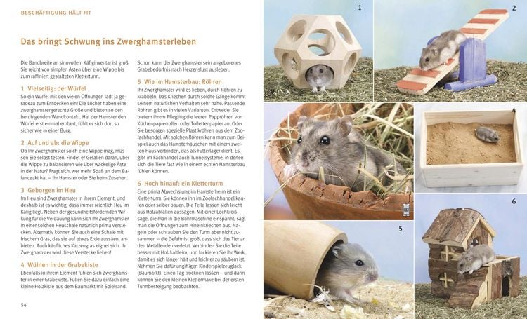 Produktbild: Zwerghamster