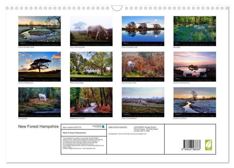 Produktbild: New Forest Hampshire (Wall Calendar 2026 DIN A3 landscape), CALVENDO 12 Month Wall Calendar