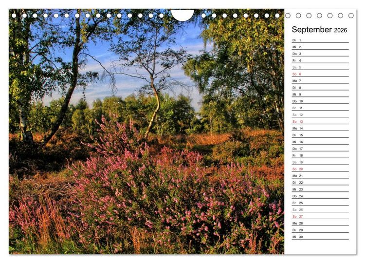 Produktbild: Die Eifel und ihre Regionen - Die Nordeifel (Wandkalender 2026 DIN A4 quer), CALVENDO Monatskalender
