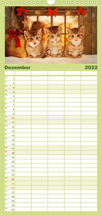 Produktbild: Familienplaner K&auml;tzchen 2022 (Wandkalender 2022 , 21 cm x 45 cm, hoch)