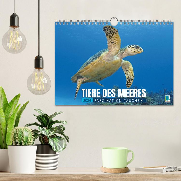 Produktbild: Tiere des Meeres: Faszination Tauchen (Wandkalender 2026 DIN A4 quer), CALVENDO Monatskalender