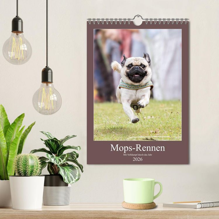 Produktbild: Mops-Rennen (Wandkalender 2026 DIN A4 hoch), CALVENDO Monatskalender
