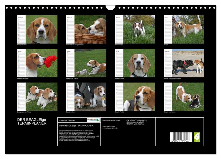Produktbild: DER BEAGLEige TERMINPLANER (Wandkalender 2026 DIN A3 quer), CALVENDO Monatskalender