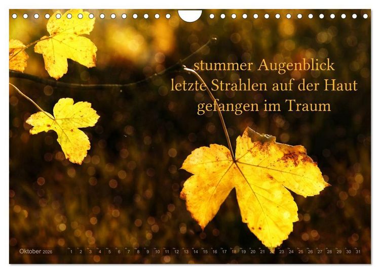Produktbild: Haiku - Gedichte in 17 Silben (Wandkalender 2026 DIN A4 quer), CALVENDO Monatskalender