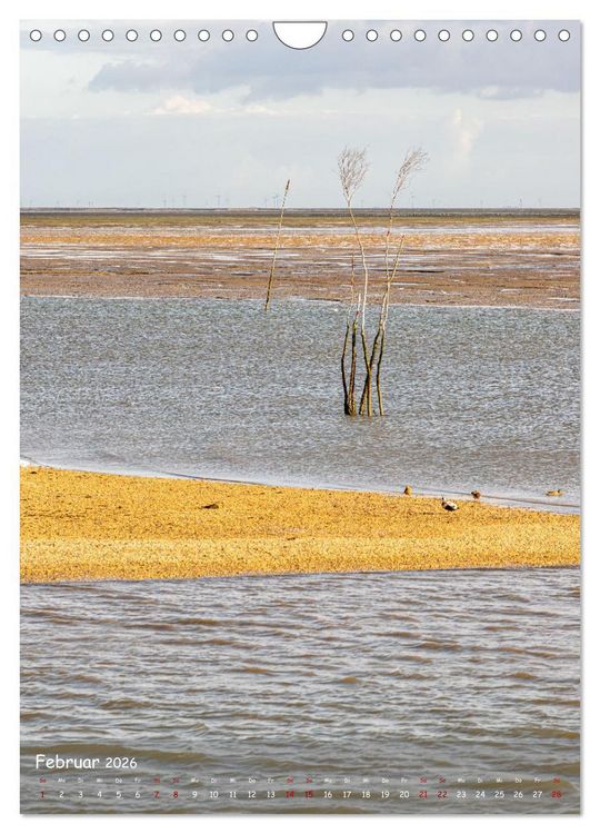Produktbild: Nordfriesland, Zwischen St. Peter Ording und Sylt (Wandkalender 2026 DIN A4 hoch), CALVENDO Monatskalender