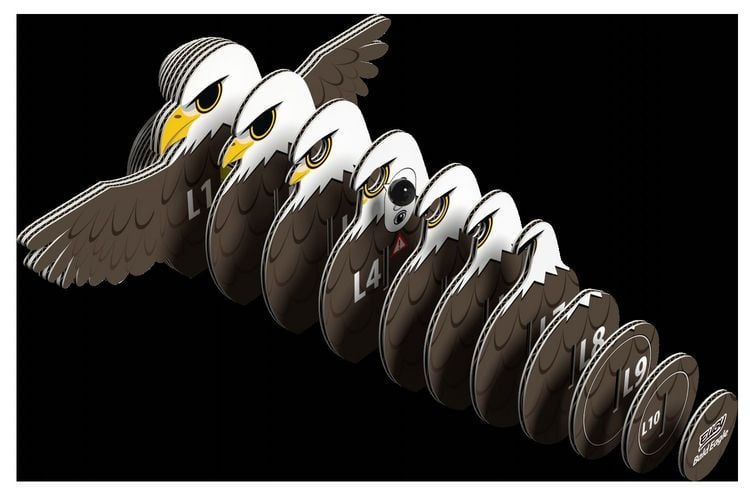 Produktbild: EUGY - 3D Bastelset Weisskopfseeadler