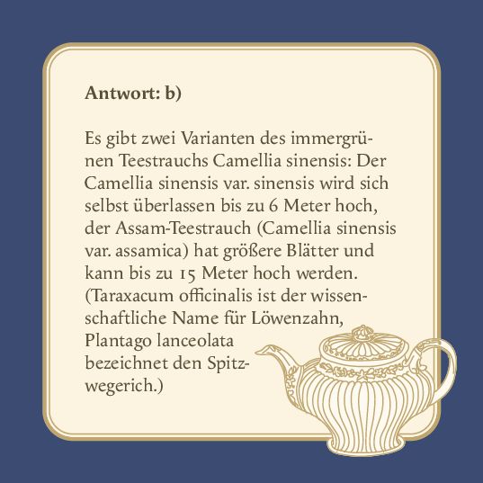 Produktbild: Das Tee-Quiz