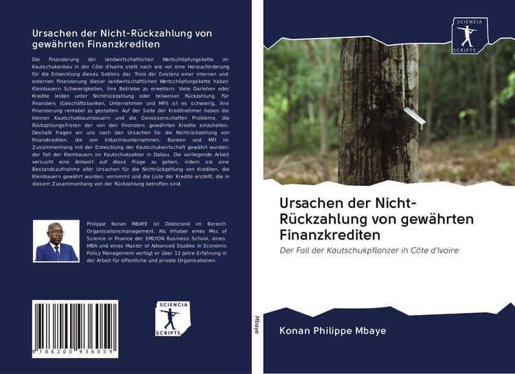 Produktbild: Ursachen der Nicht-R&uuml;ckzahlung von gew&auml;hrten Finanzkrediten