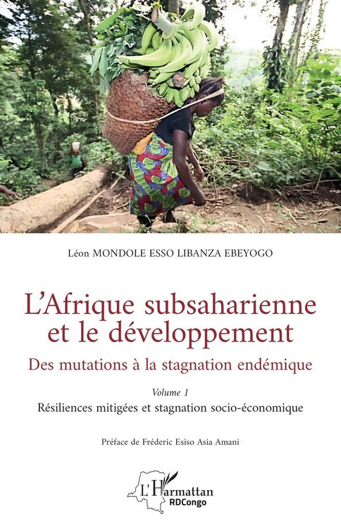 Produktbild: L'Afrique subsaharienne et le d&eacute;veloppement
