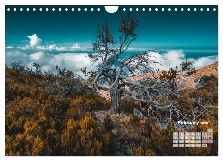 Produktbild: Madeira Island - Portugal (Wall Calendar 2026 DIN A4 landscape), CALVENDO 12 Month Wall Calendar
