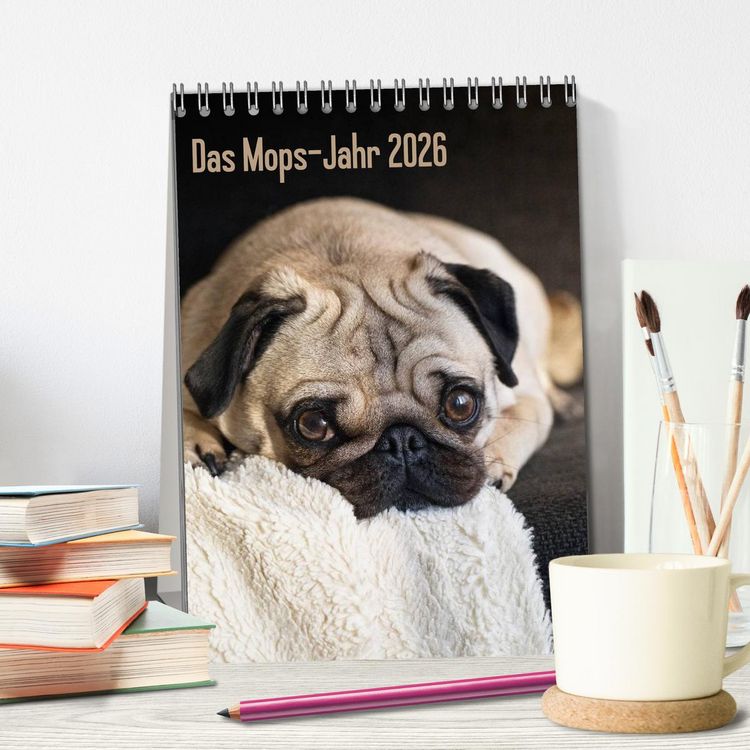 Produktbild: Das Mops-Jahr 2026 (Tischkalender 2026 DIN A5 hoch), CALVENDO Monatskalender