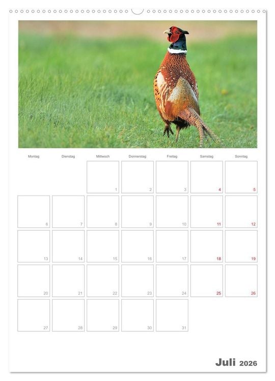 Produktbild: Rehe & Co / Planer (Wandkalender 2026 DIN A2 hoch), CALVENDO Monatskalender