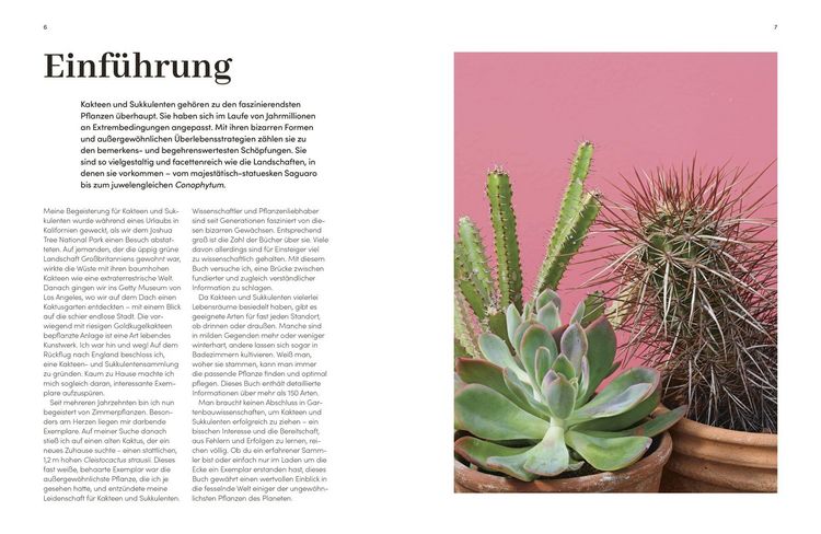 Produktbild: Kakteen und Sukkulenten