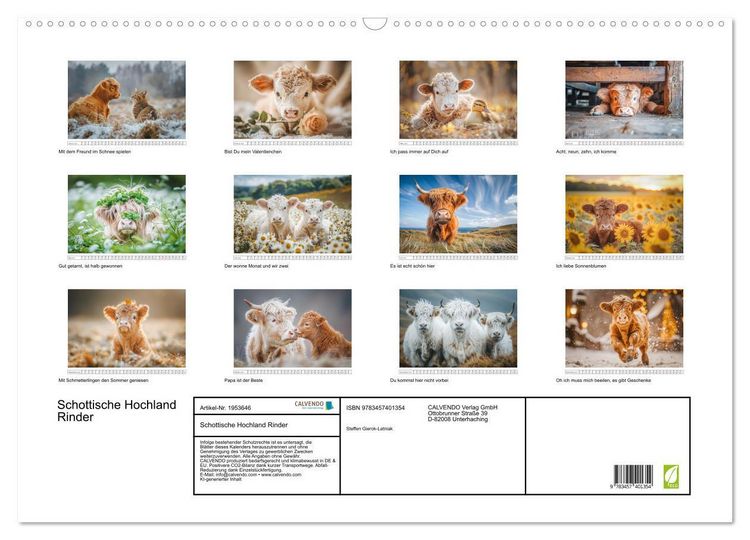 Produktbild: Schottische Hochland Rinder (Wandkalender 2026 DIN A2 quer), CALVENDO Monatskalender