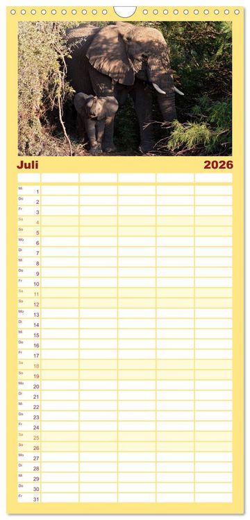 Produktbild: Familienplaner 2026 - Afrikas Tierwelt: Elefantenbabys mit 5 Spalten (Wandkalender, 21 x 45 cm) CALVENDO