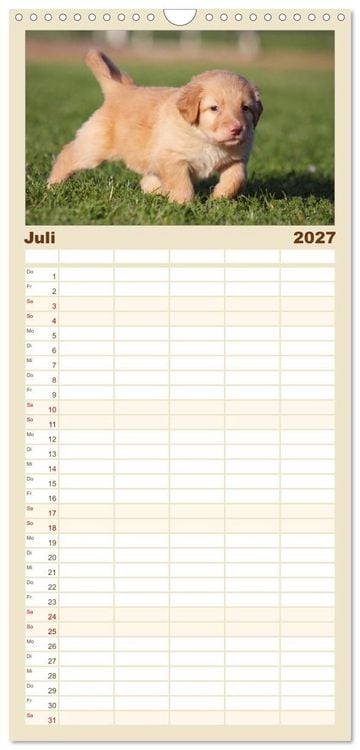 Produktbild: Familienplaner 2027 - Hovawart - nat&uuml;rlich blond mit 5 Spalten (Wandkalender, 21 x 45 cm) CALVENDO