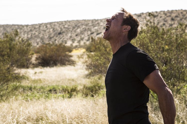 Produktbild: Toybox - Ungek&uuml;rzte Version