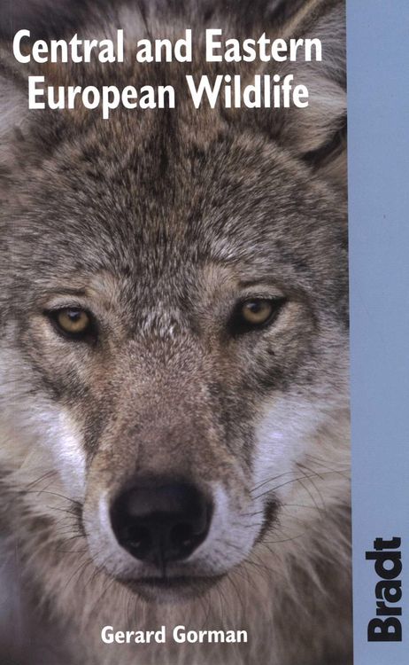 Produktbild: Bradt Central and Eastern European Wildlife