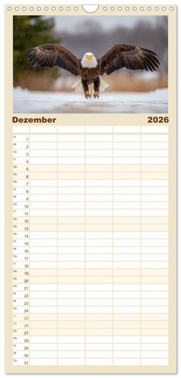 Produktbild: Familienplaner 2026 - Majest&auml;tische Wei&szlig;kopfseeadler - Der K&ouml;nig der L&uuml;fte mit 5 Spalten (Wandkalender, 21 x 45 cm) CALVENDO