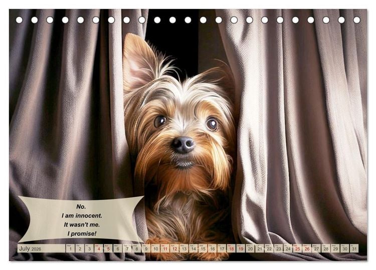 Produktbild: Great fun for Yorkshire Terrier lovers (Desk Calendar 2026 DIN A5 landscape), CALVENDO 12 Month DeskCalendar