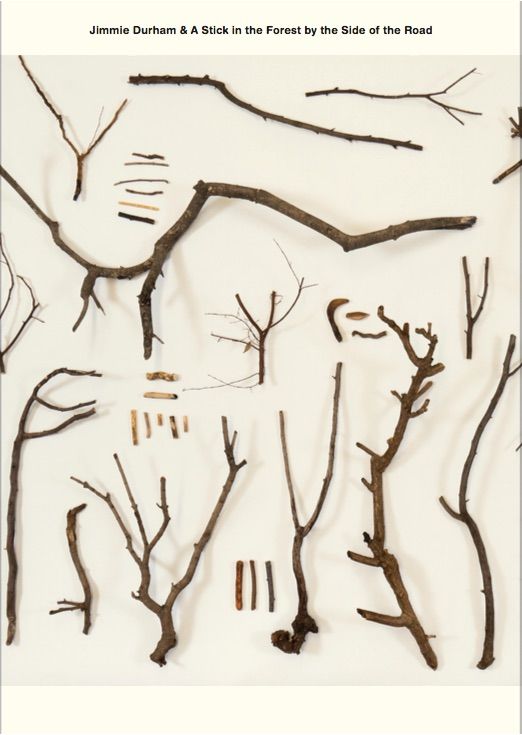 Produktbild: Jimmie Durham & A Stick in the Forest by the Side of the Road Series (vol.1-12)