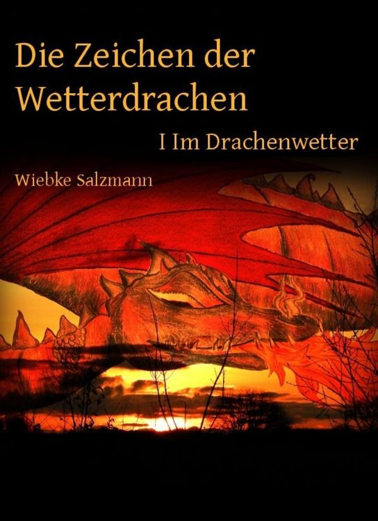 Produktbild: Die Zeichen der Wetterdrachen
