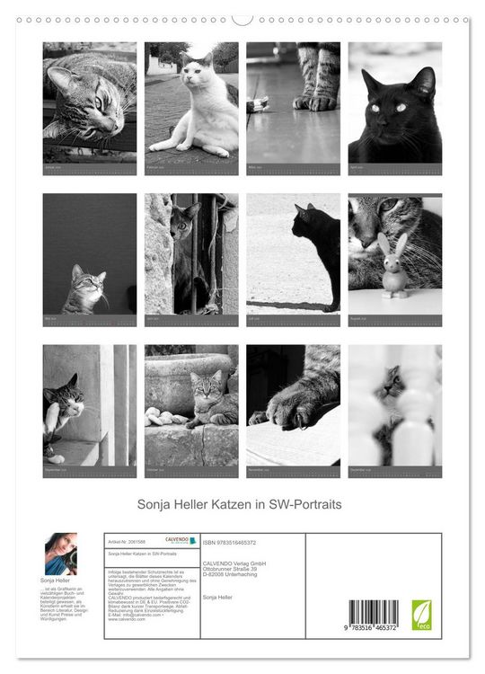 Produktbild: Sonja Heller Katzen in SW-Portraits (hochwertiger Premium Wandkalender 2026 DIN A2 hoch), Kunstdruck in Hochglanz