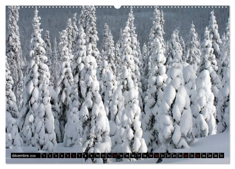 Produktbild: GASP&Eacute;SIE. Parc National du Qu&eacute;bec (Calendrier mural 2026 DIN A2 vertical) calendrier de bureau