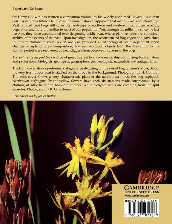 Produktbild: The Archives of Peat Bogs