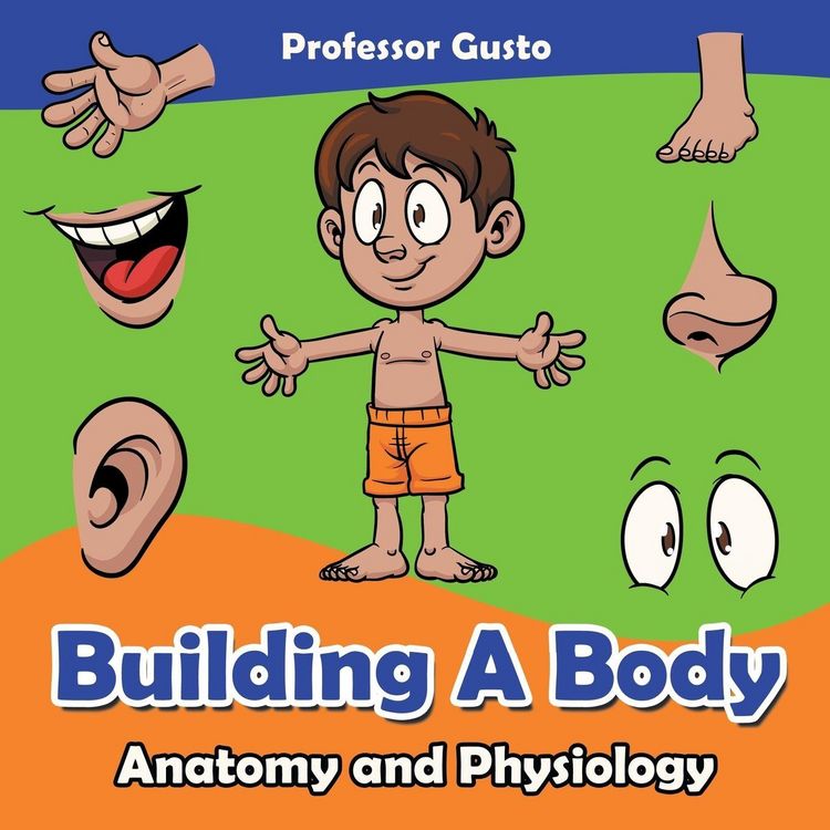 Produktbild: Building a Body | Anatomy and Physiology